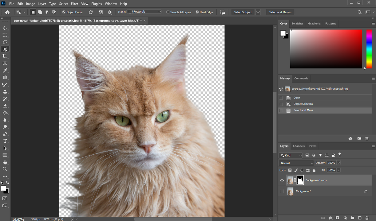 How to Cut Out An Image in Photoshop | Visual Watermark