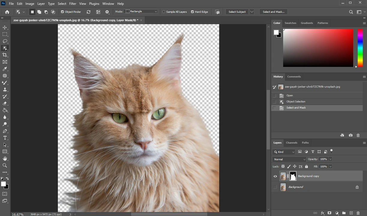 How to Cut Out An Image in Photoshop Using Layer Mask