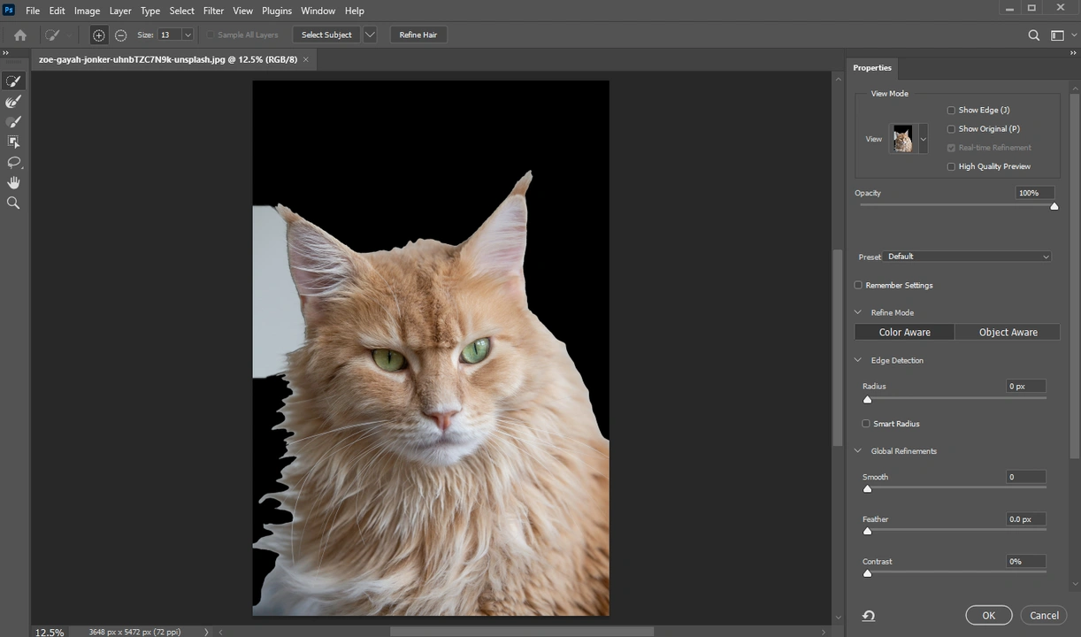 How to Cut Out An Image in Photoshop Using Layer Mask