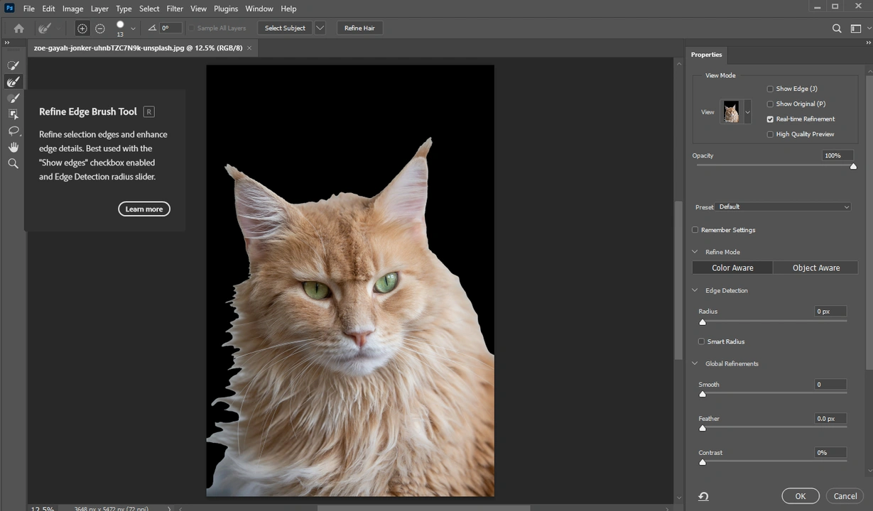 How to Cut Out An Image in Photoshop Using Layer Mask