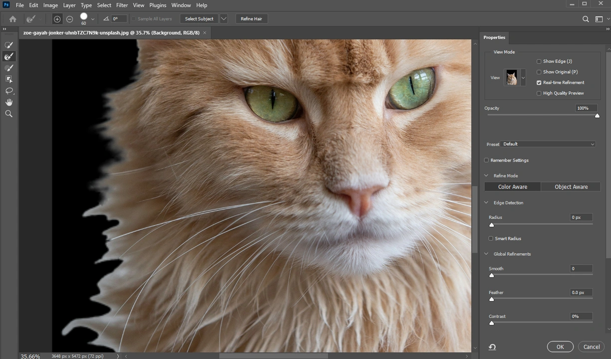 How to Cut Out An Image in Photoshop Using Layer Mask