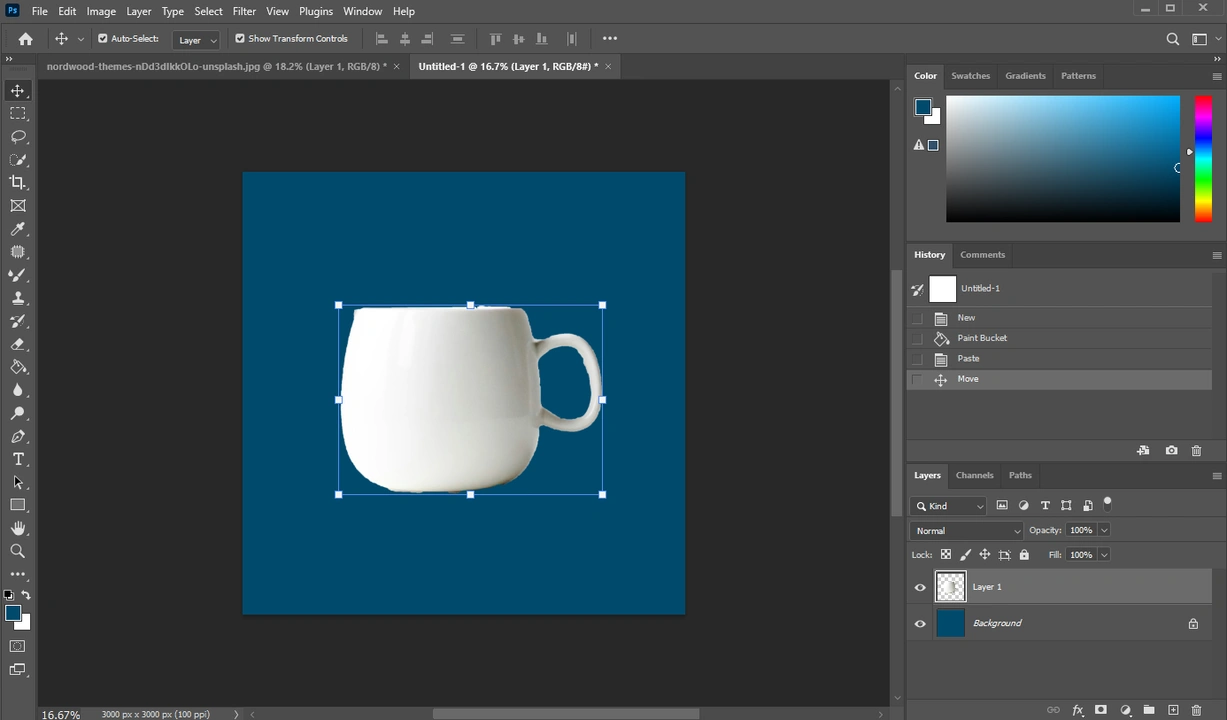 How to Cut Out An Image in Photoshop with Quick Selection Tool