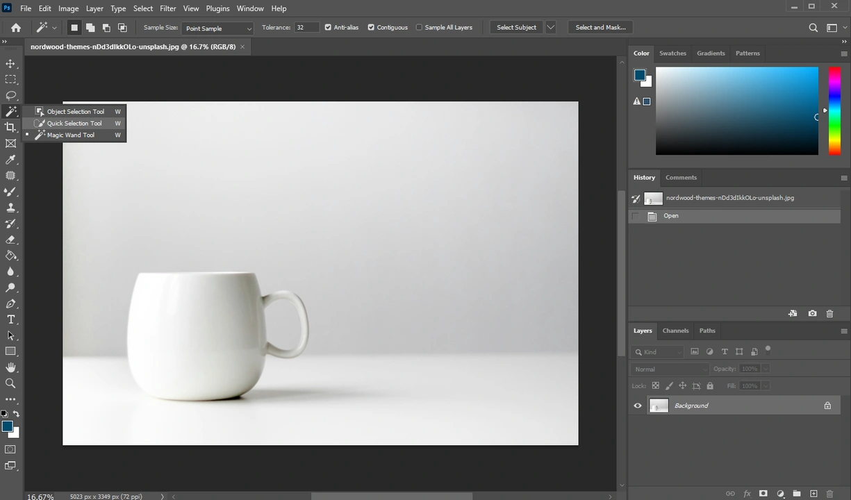 How to Cut Out An Image in Photoshop with Quick Selection Tool